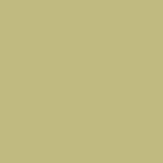 Kleur Pistacchio